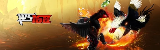 WS168 Cockfight